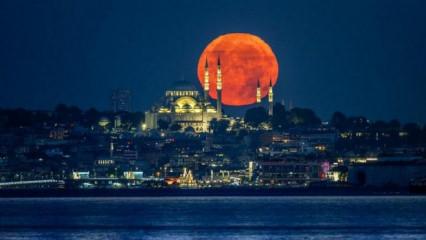 Diyanet İşleri Başkanlığı derledi! İşte İstanbul'da az camisi olan il&ccedil;e