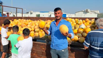 Hatay'da t&uuml;ccarın bi&ccedil;tiği fiyata kafası atan &ccedil;ift&ccedil;iden 50 tonluk hayır