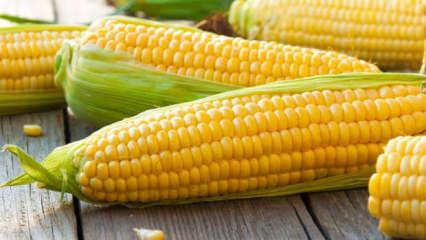 Mısır fiyatları son 3 yılın zirvesinde! El Nino etkisini g&ouml;sterdi