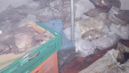 Muğla'da k&ouml;t&uuml; koku gıda skandalına g&ouml;t&uuml;rd&uuml;: 400 kilogram bozuk et ele ge&ccedil;irildi