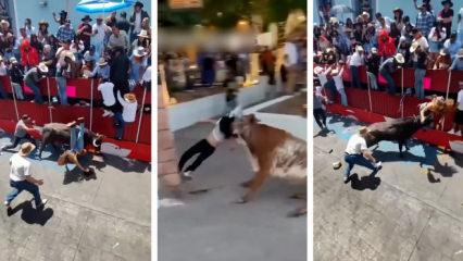 Meksika'da boğa dehşeti: ABD'li kadının kıl payı kurtuluşu kamerada