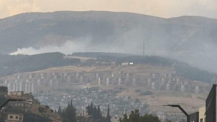 Kahramanmaraş'ta orman yangını