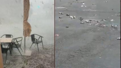 Fırtına ve dolu yağışı İspanya'yı savaş alanına &ccedil;evirdi