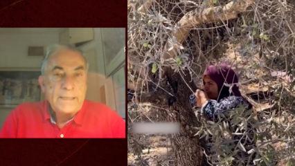 israilli gazeteci Siyonist işgalcilerin maskesini deşifre etti! Ordu da işin i&ccedil;inde