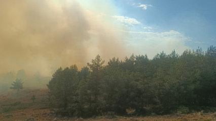Anız yangınında alevler ormana sı&ccedil;radı