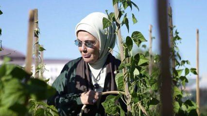 Emine Erdoğan, Milli Botanik Bah&ccedil;esi&rsquo;ni ziyaret etti: "Bitki hazinemizi korumak &ccedil;ok kıymetli"