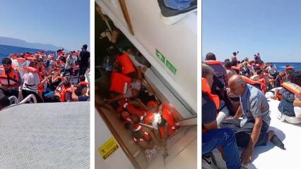 Girne'deki gemi faciasında yeni g&ouml;r&uuml;nt&uuml;ler ortaya &ccedil;ıktı!