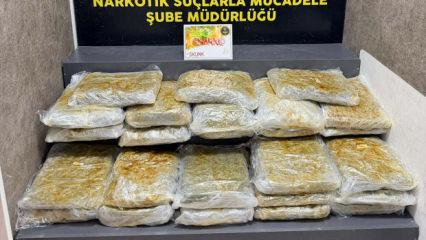İzmir'de 29 kilo 800 gram skunk ele ge&ccedil;irildi