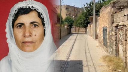 Mardin'de kanlı ev baskını! 70 yaşındaki kadın ağır yaralandı 