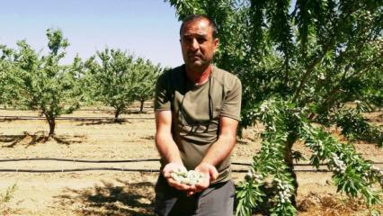 Kayseri'de 16 yıl &ouml;nce hobi olarak başladı, o iş alıp başını y&uuml;r&uuml;d&uuml; 