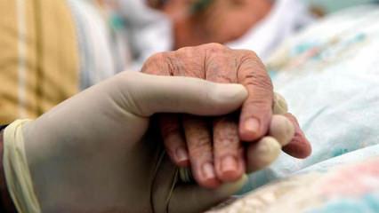 2026 sosyal yardım &ouml;demeleri belli oldu: Hangi desteğe ne kadar &ouml;deniyor?