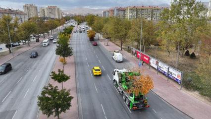 Konya B&uuml;y&uuml;kşehir, ulaşım projesi sırasında kaldırdığı her ağacı yeniden dikiyor