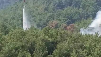 Adana Kozan'da yeniden yangın!