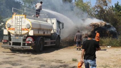 Antalya&rsquo;da korkutan yangın! Alevlerin arasında en b&uuml;y&uuml;k serveti k&uuml;le d&ouml;nd&uuml;