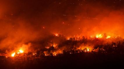 Antalya'da korkutan yangın! Evler tahliye edildi