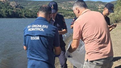 &Ccedil;anakkale'de barajdaki balık &ouml;l&uuml;mlerine inceleme