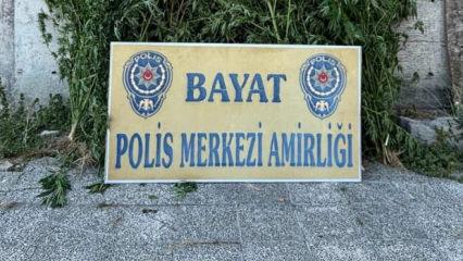 &Ccedil;iftlikte 46 k&ouml;k Hint keneviri ele ge&ccedil;irildi: 1 tutuklama