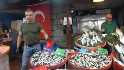 Fiyatlar d&uuml;ş&uuml;şte! Hamsi 150, palamut 100 TL