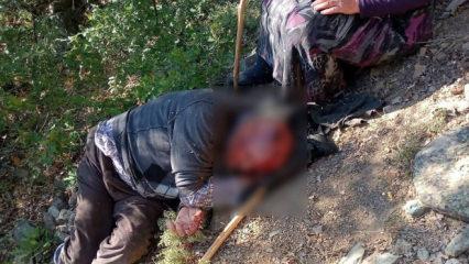 Kuşburnu toplarken 30 metrelik u&ccedil;uruma yuvarlandı: Ekipler seferber oldu
