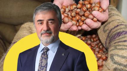 AK Partili Hamarat'tan fındık t&uuml;ccarlarına &ccedil;ağrı: &Uuml;reticinin emeğini g&ouml;zetin