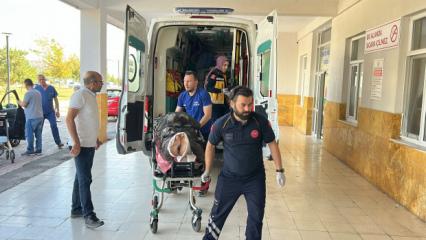Ayı saldırısına uğrayan &ccedil;oban yaralandı