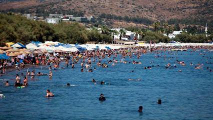 Bodrum&rsquo;da &lsquo;Sarı Yaz&rsquo; yoğunluğu: Doluluk oranları y&uuml;zde 85&rsquo;e ulaştı