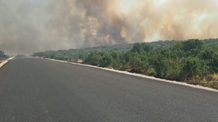 Diyarbakır'da orman yangını