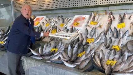 Hamsi ve palamut tezgahları doldurdu! 3 yıldır fiyatları değişmiyor