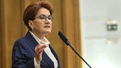 Meral Akşener'den yeni adım: Resmen duyurdu! Logosu bile belli oldu...