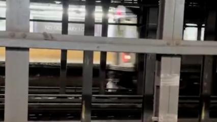 New york metrosunda dehşet anları: Arkadaşını kurtarmak isterken can verdi