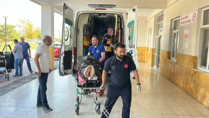 Sivas'ta ayı dehşeti! Yaralı &ccedil;oban helikopterle hastaneye kaldırıldı 