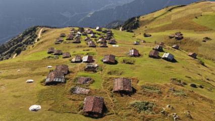 Trabzon yaylalarında sonbahar zamanı: Beklenen renkler kendini g&ouml;sterdi