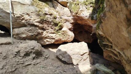 86 bin yıllık yaşam izleri bulunmuştu: İnkaya Mağarası&rsquo;ndaki sır DNA ile &ccedil;&ouml;z&uuml;lecek