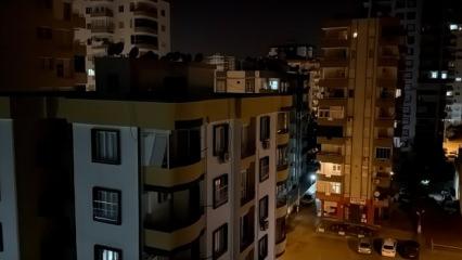Adana'da deli eden cırcır b&ouml;ceği! Vatandaşa uyku haram oldu