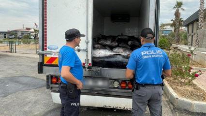 İzmir'de 3 ton mavi y&uuml;zge&ccedil;li orkinos sevinci kursaklarında kaldı! Piyasa değeri şoke etti