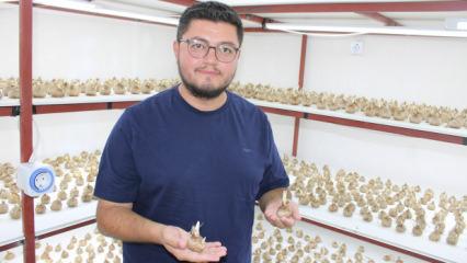 "Kayseri&rsquo;de yetişmez" dediler, dinlemedi &uuml;retti! Kilogramı 900 bin TL