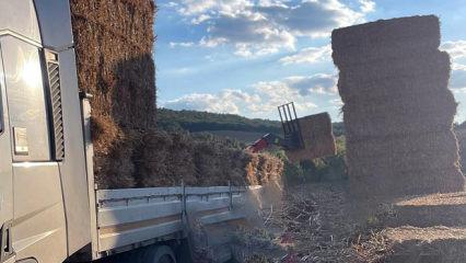 Tekirdağ'da feci kaza! 500 kiloluk saman balyaları can aldı