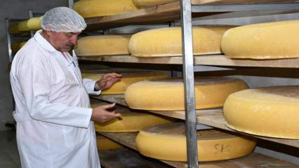 Peynirlerin Kralı olarak biliniyor: Kars&rsquo;ta &uuml;retilen gravyer peyniri d&uuml;nyaya ulaşıyor