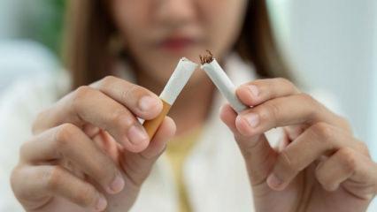Sigara kullanımında yeni d&ouml;nem: Yasak geliyor! Tarih belli oldu