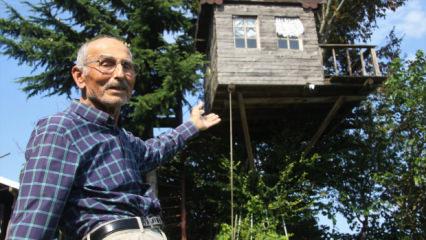 Torunu istedi, dedesi yaptı: 90 yıllık meşe ağacının tepesine ev kurdu