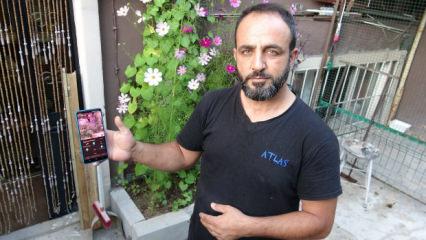 Erzurum'da ilgin&ccedil; g&uuml;vercin tutkusu! 24 saat kamera, &ccedil;elik kapı ve kurtla koruyor