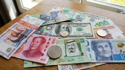 Herkes dolar alırken o y&uuml;kseldi: Dokuz ayda en &ccedil;ok kazandıran d&ouml;viz a&ccedil;ıklandı