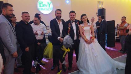 Adana'da d&uuml;ğ&uuml;ne damga vuran takı! Gelin ve damada ke&ccedil;i hediye edildi