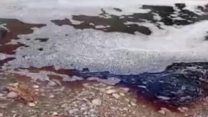 Marmara Denizi'nde kırmızı alarm! Deniz y&uuml;zeyi bir anda renk değiştirdi