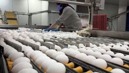 Yumurta fiyatları i&ccedil;in dikkat &ccedil;eken a&ccedil;ıklama! Arz fazlası zam beklentisini rafa kaldırdı