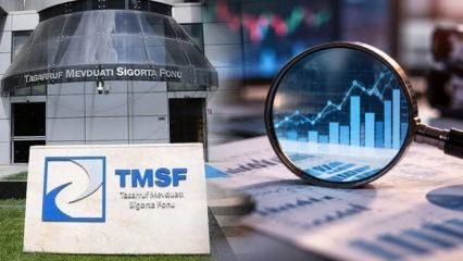 TMSF'den Destek Yatırım Bankası kararı: Yeni y&ouml;netim atandı