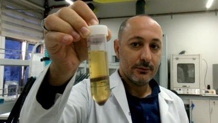 Yem olarak kullanılıyordu değeri katlandı: Y&uuml;zde 80 protein i&ccedil;eren toza d&ouml;n&uuml;ş&uuml;yor