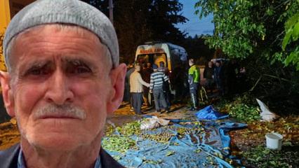 78 yaşındaki adam ceviz ağacından d&uuml;ş&uuml;p &ouml;ld&uuml;