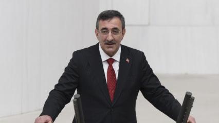 Cumhurbaşkanı Yardımcısı, fon tasfiyesi i&ccedil;in tarih verdi: Hazine kaynağı kullanılmayacak
