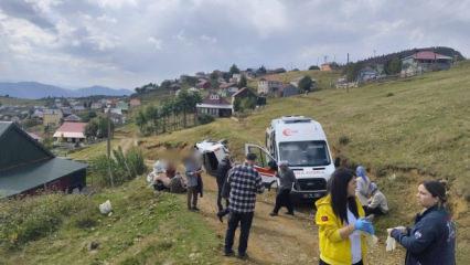 Sis Dağı Yaylası'nda kamyonet u&ccedil;uruma yuvarlandı: 1'i ağır 4 yaralı